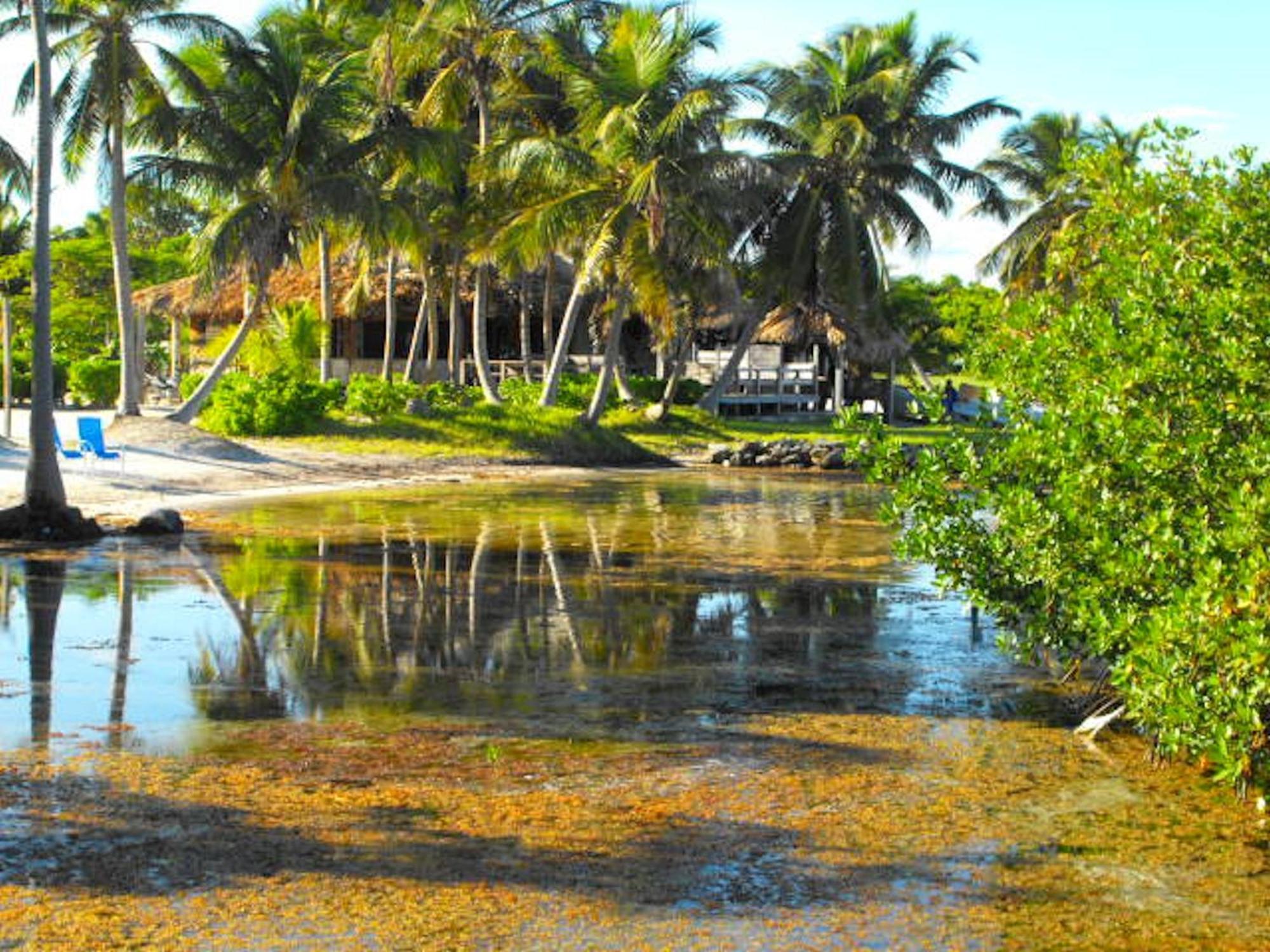 Hotel Costa De Cocos Xcalak Exterior foto